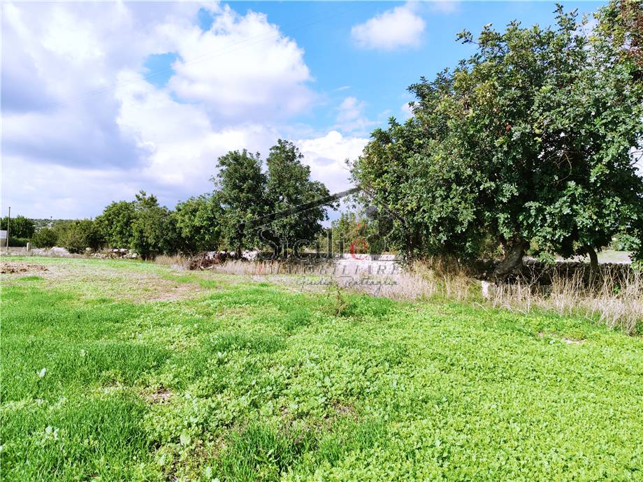 Vendita Casa indipendente Scicli #216 n.9