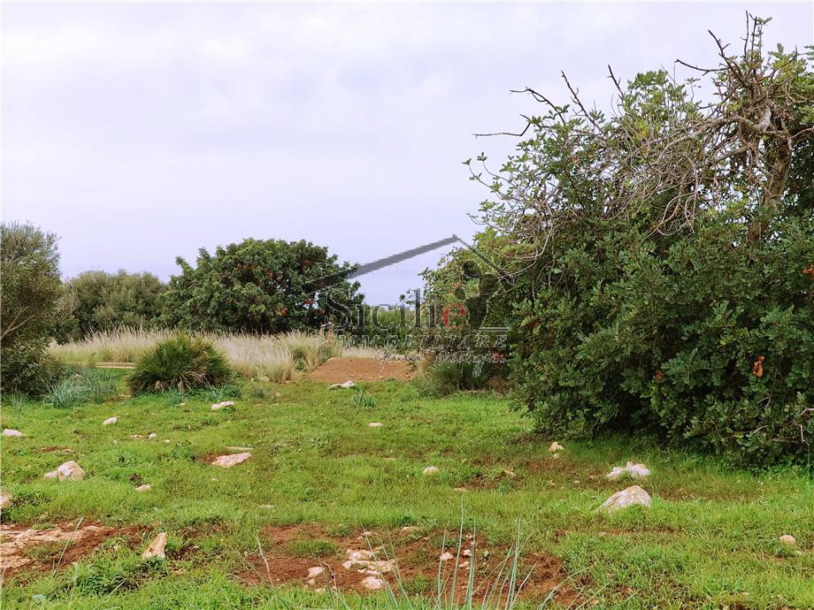 Vendita Terreno edificabile Scicli  #221 n.4