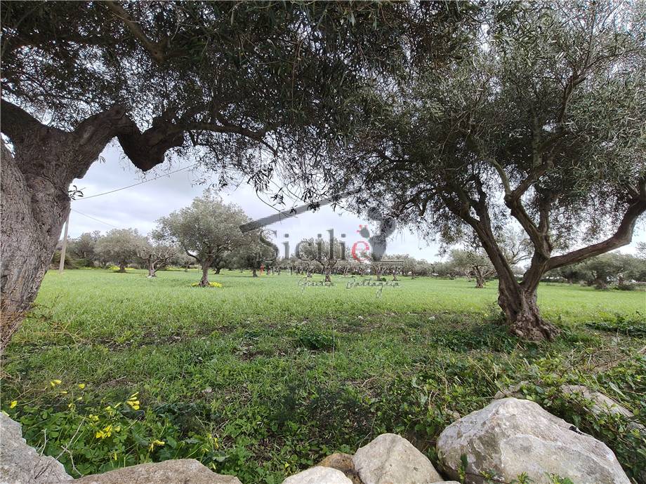 Terreno agricolo Scicli 233