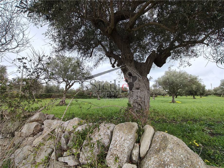 Vendita Terreno agricolo Scicli  #233 n.2