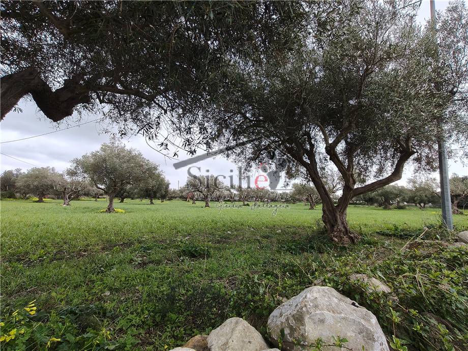 Vendita Terreno agricolo Scicli  #233 n.4
