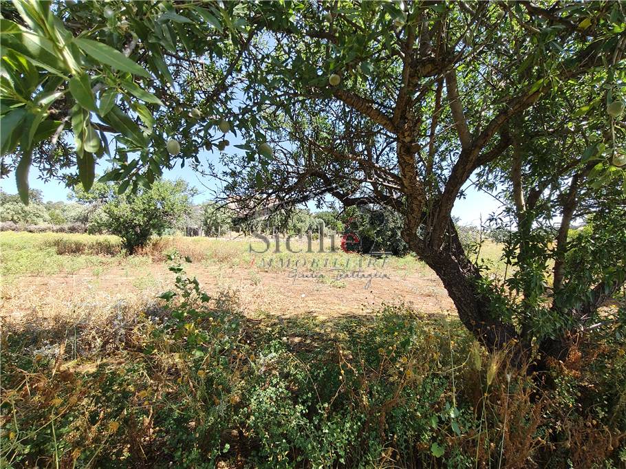 Venta Terreno edificable Scicli #238 n.12