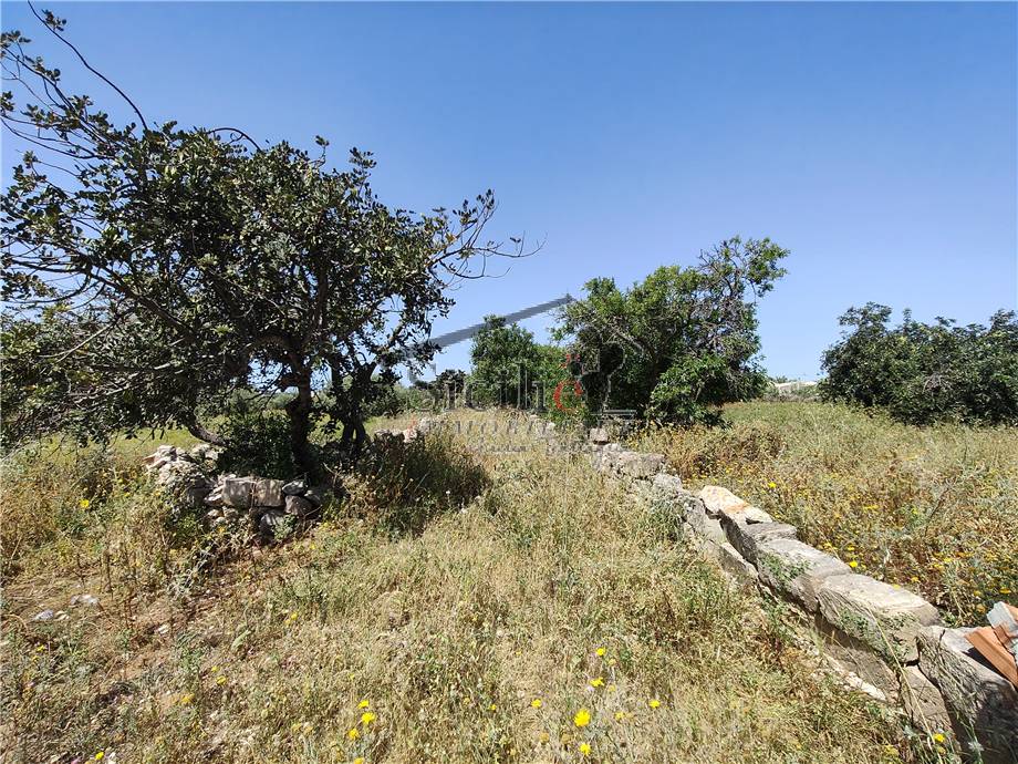 Venta Terreno edificable Scicli #238 n.15