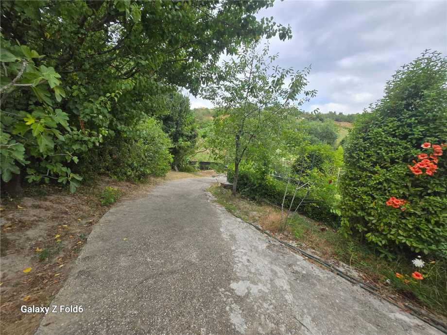 Vendita Appartamento Castelnuovo di Porto  #Castelnuovo n.5