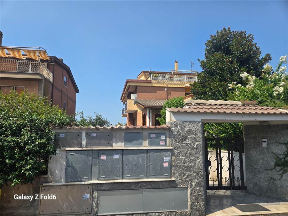 Seminterrato Roma #Seminterrato