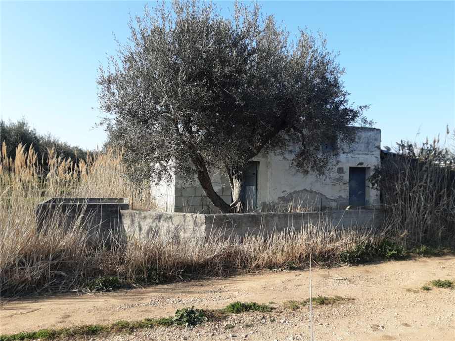 Vendita Terreno San Nicandro Garganico LAURO #48 n.2