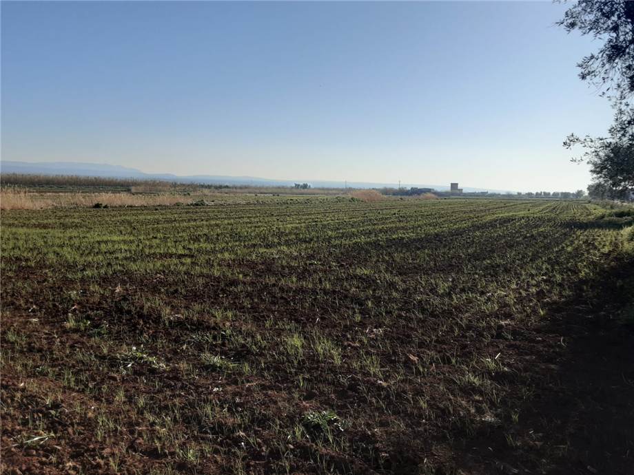 Vendita Terreno San Nicandro Garganico LAURO #48 n.3