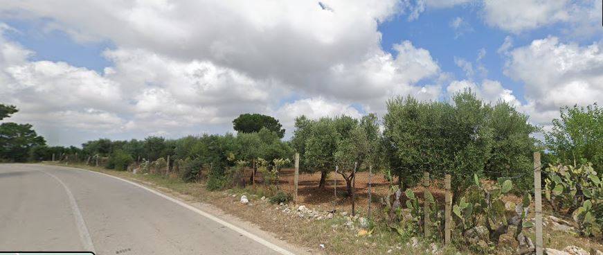 Terreno Apricena 103
