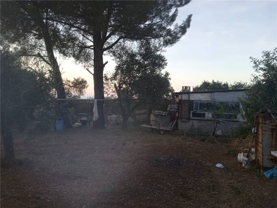 Venta Terreno Apricena  #103 n.2
