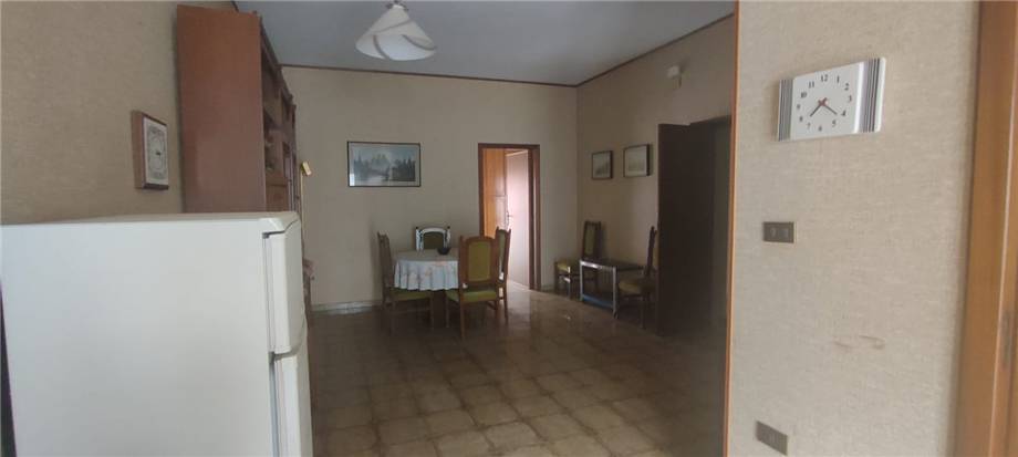 Venta Appartamento San Nicandro Garganico  #156 n.3