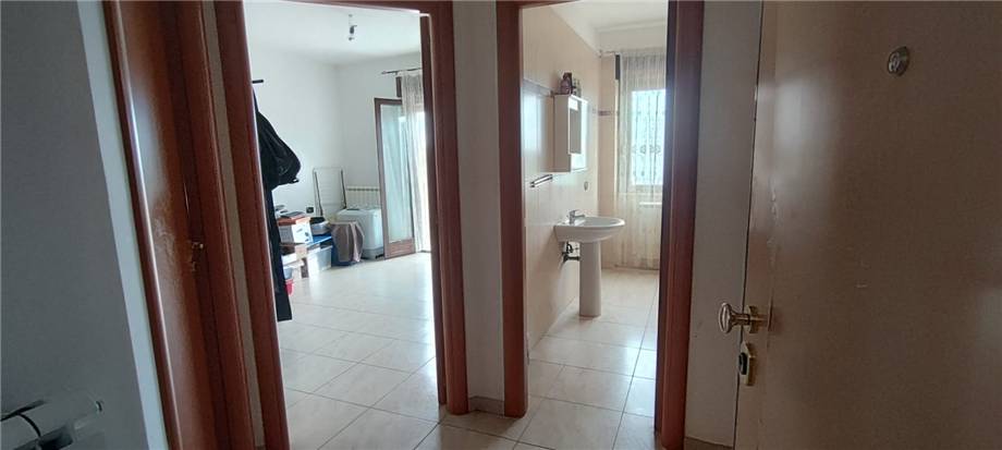 Vendita Appartamento San Nicandro Garganico  #178 n.2