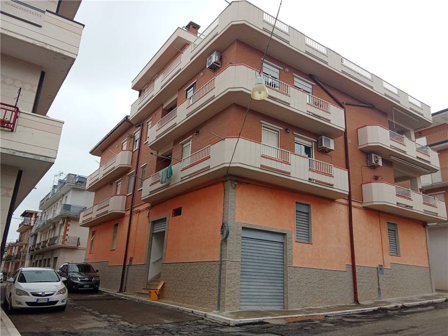 Vendita Appartamento San Nicandro Garganico #181 n.1