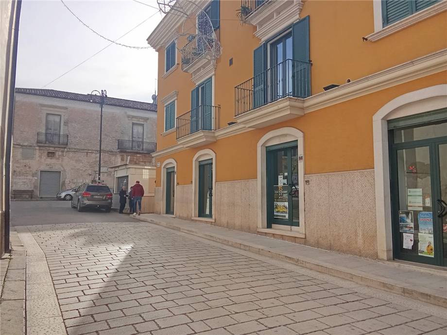 To rent Business premises San Nicandro Garganico #187 n.2