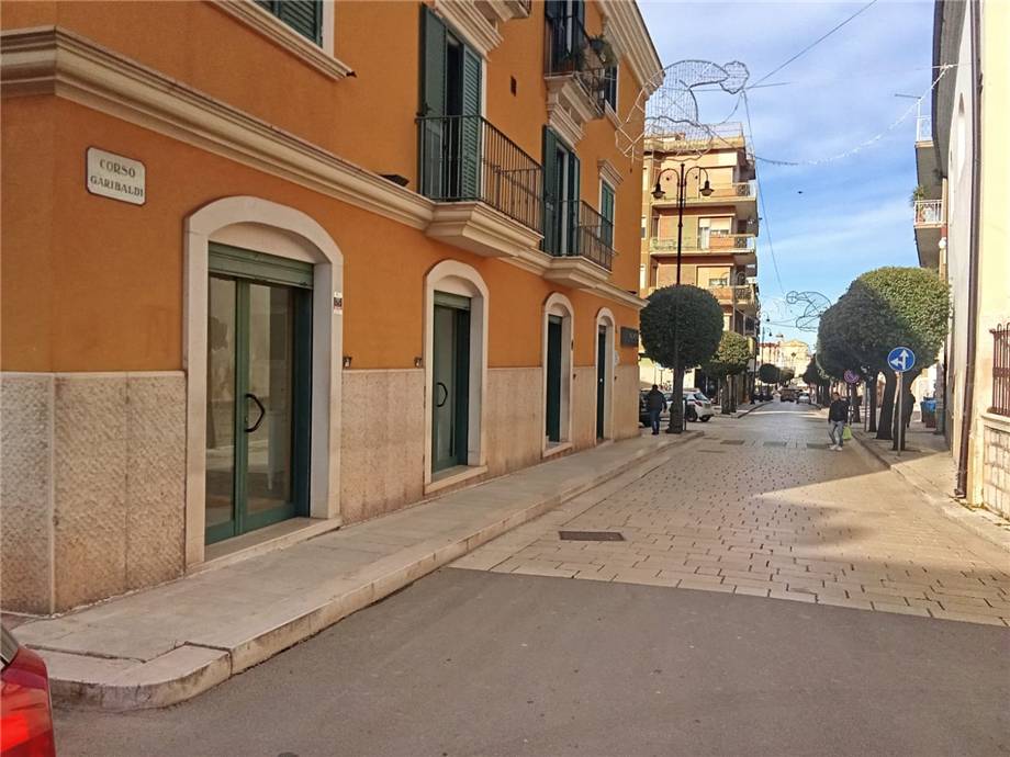 To rent Business premises San Nicandro Garganico #187 n.3