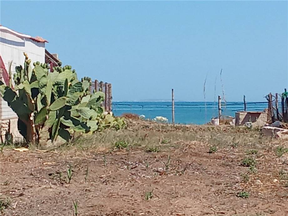 Vendita Terreno agricolo San Nicandro Garganico #213 n.2