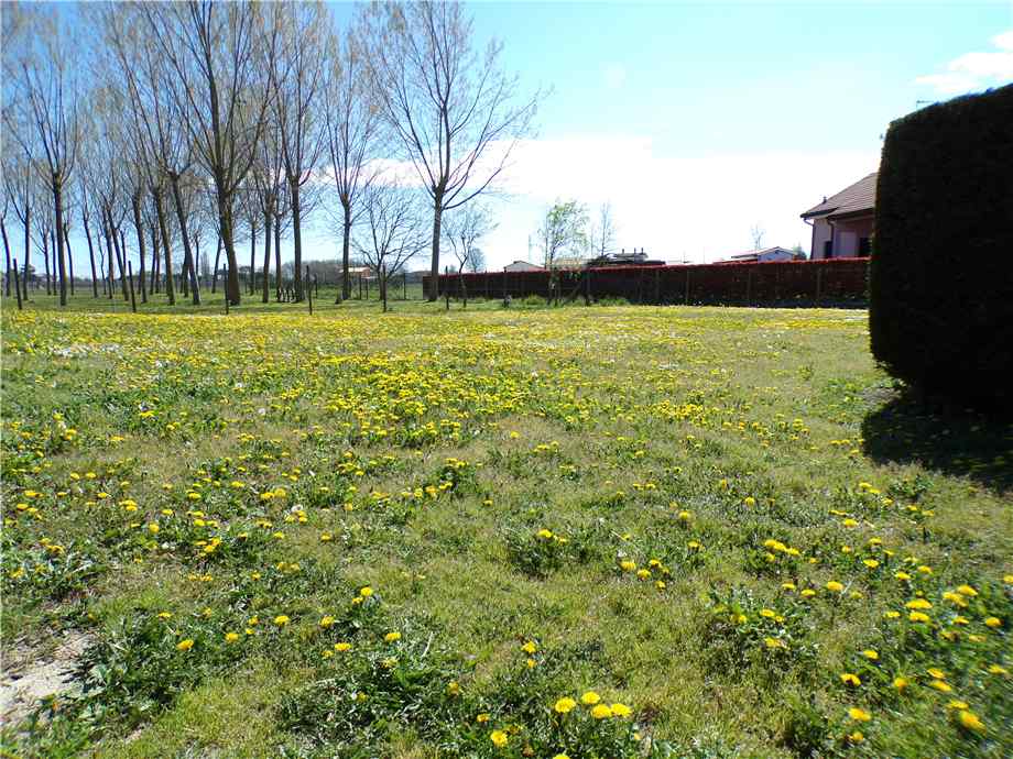 Terreno Jesolo 4