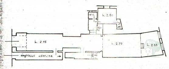 Negocio Pescia 152