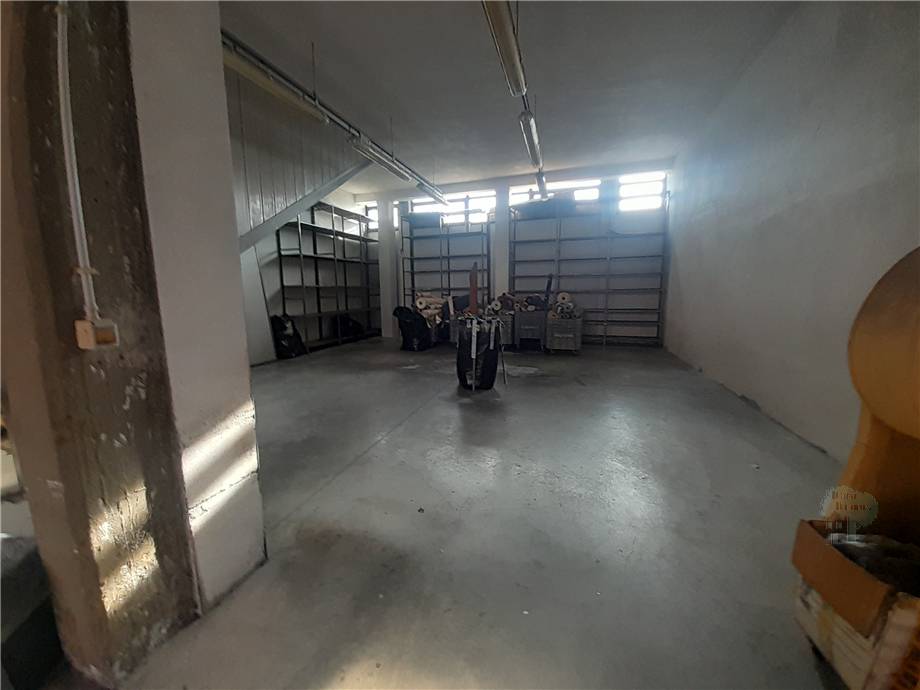 Vendita Capannone Capannori  #156 n.2