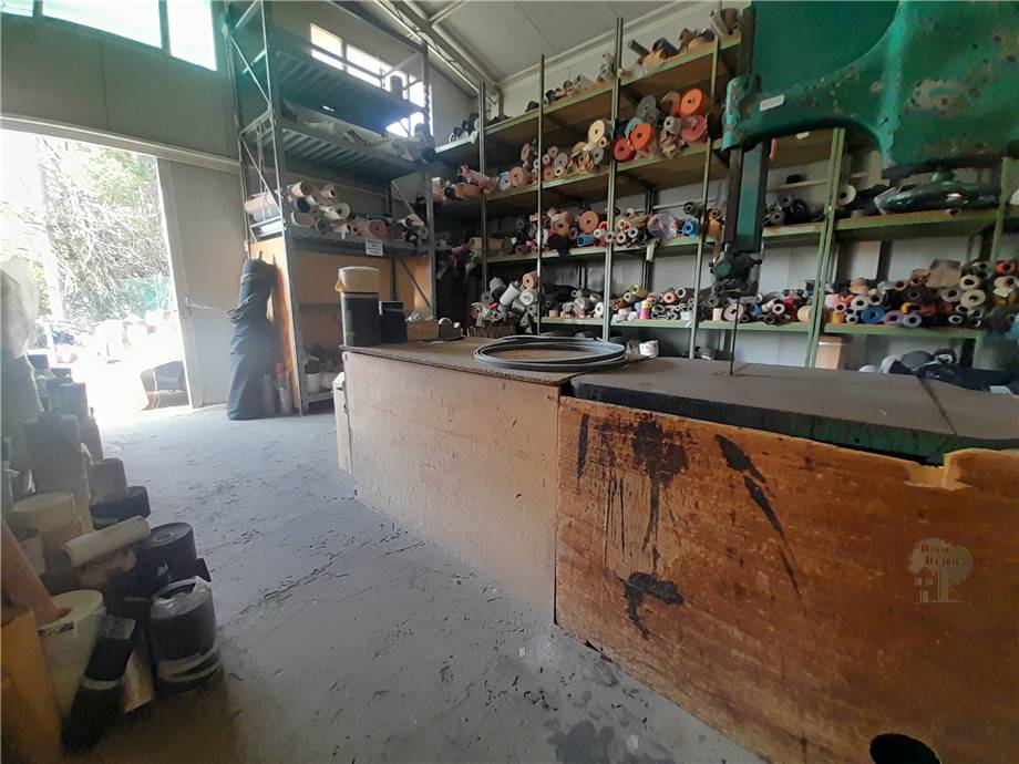 Vendita Capannone Capannori  #156 n.4