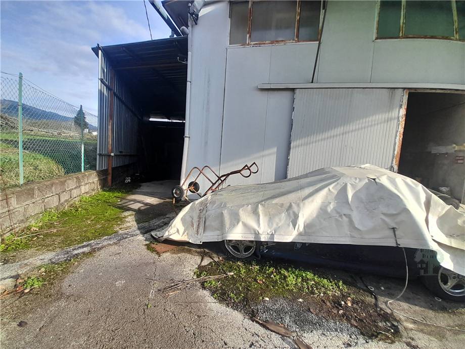 Vendita Capannone Capannori  #156 n.5