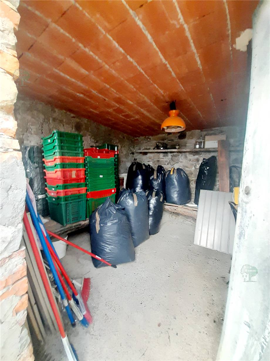 Venta Terratetto/Terracielo Capannori #177 n.1