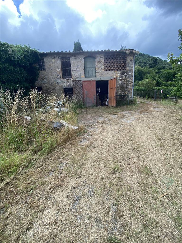 Venta Almacén Capannori  #223 n.3