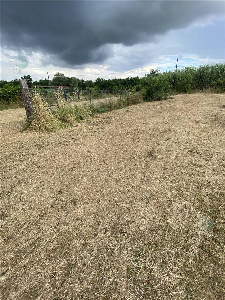 Venta Almacén Capannori  #223 n.4
