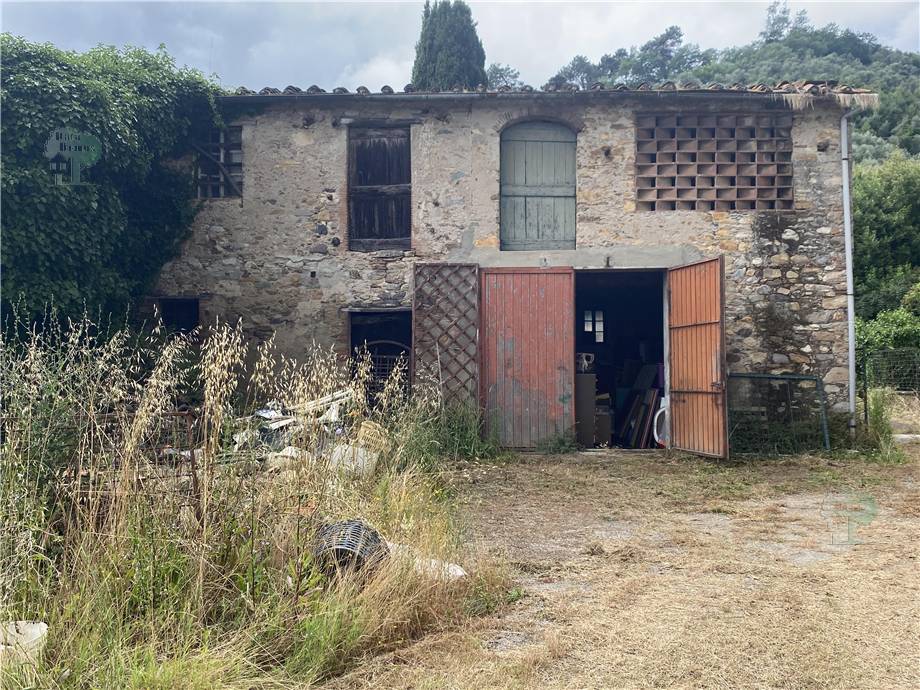 Venta Almacén Capannori  #223 n.5