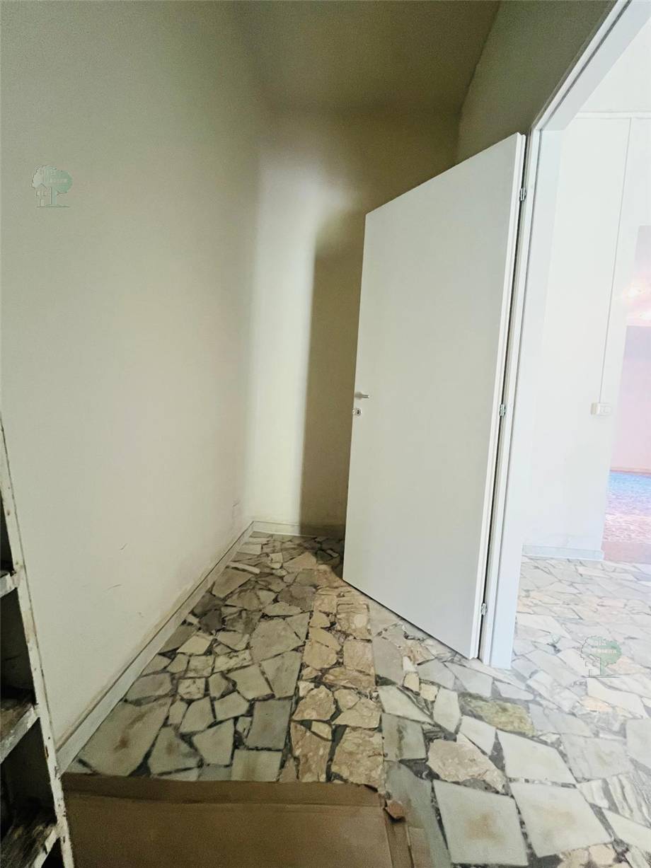 Alquiler Local comercial Capannori  #225 n.2