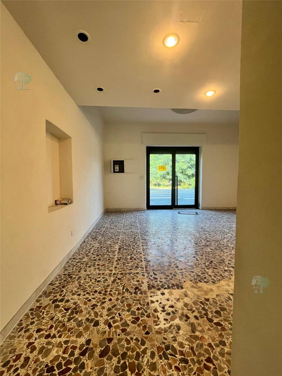 Alquiler Local comercial Capannori  #225 n.3