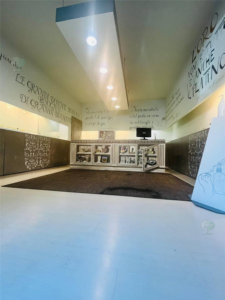 Local comercial Lucca 226