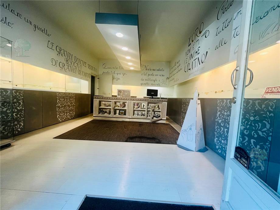 Alquiler Local comercial Lucca  #226 n.4