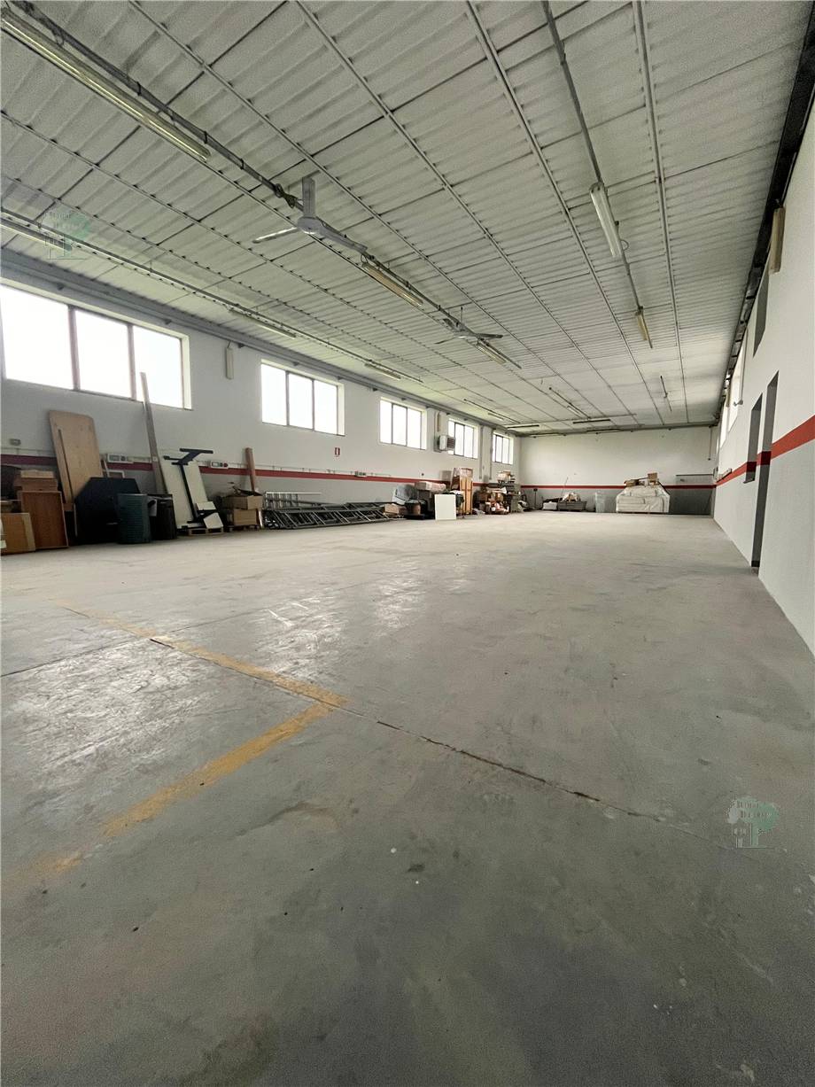 Warehouse Capannori 240