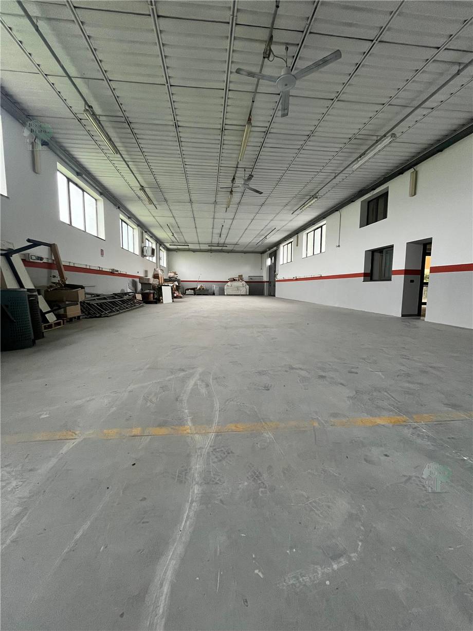 For sale Warehouse Capannori  #240 n.5