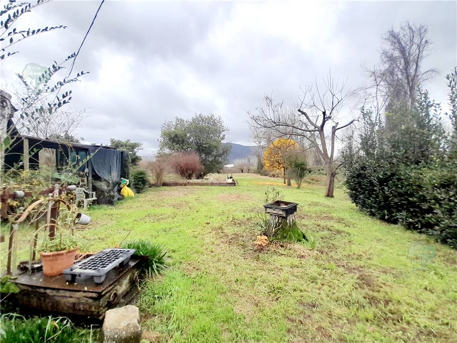 Detached house Lucca 241
