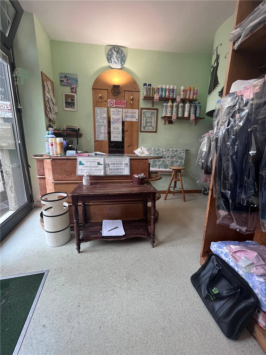 Shop Lucca 245