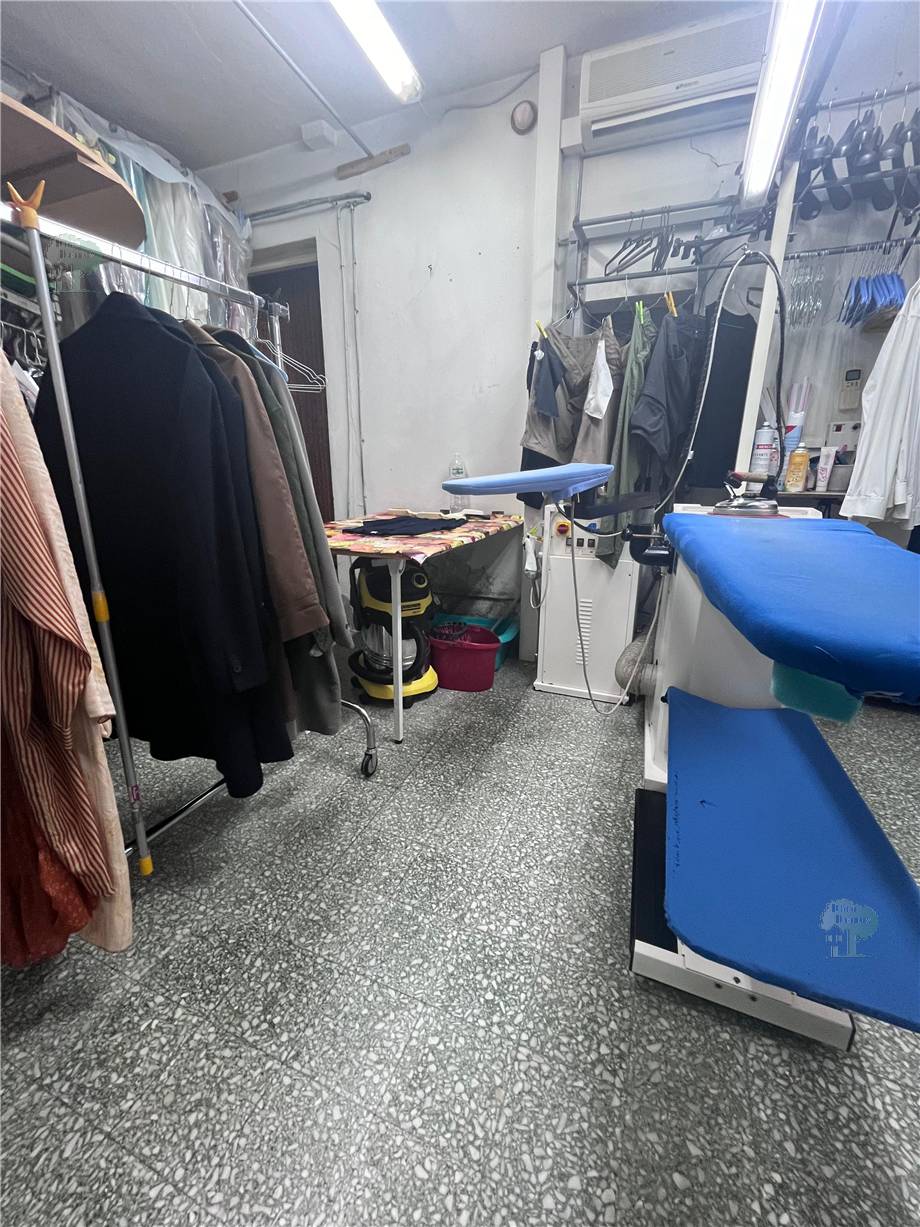 For sale Shop Lucca  #245 n.3