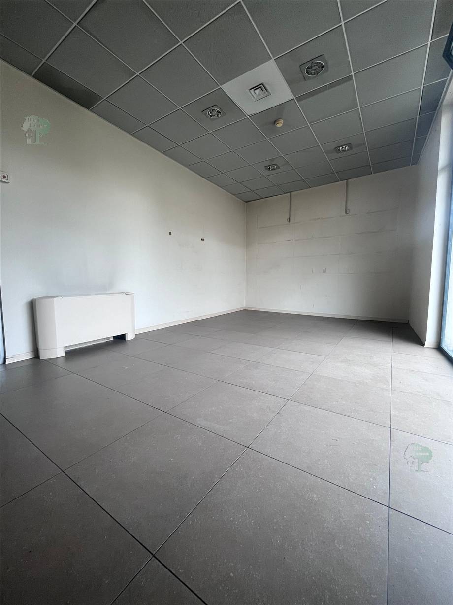 Alquiler Local comercial Altopascio  #246 n.5