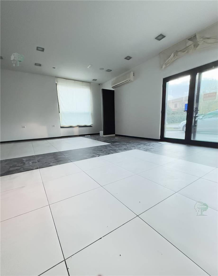 Alquiler Local comercial Capannori  #251 n.3