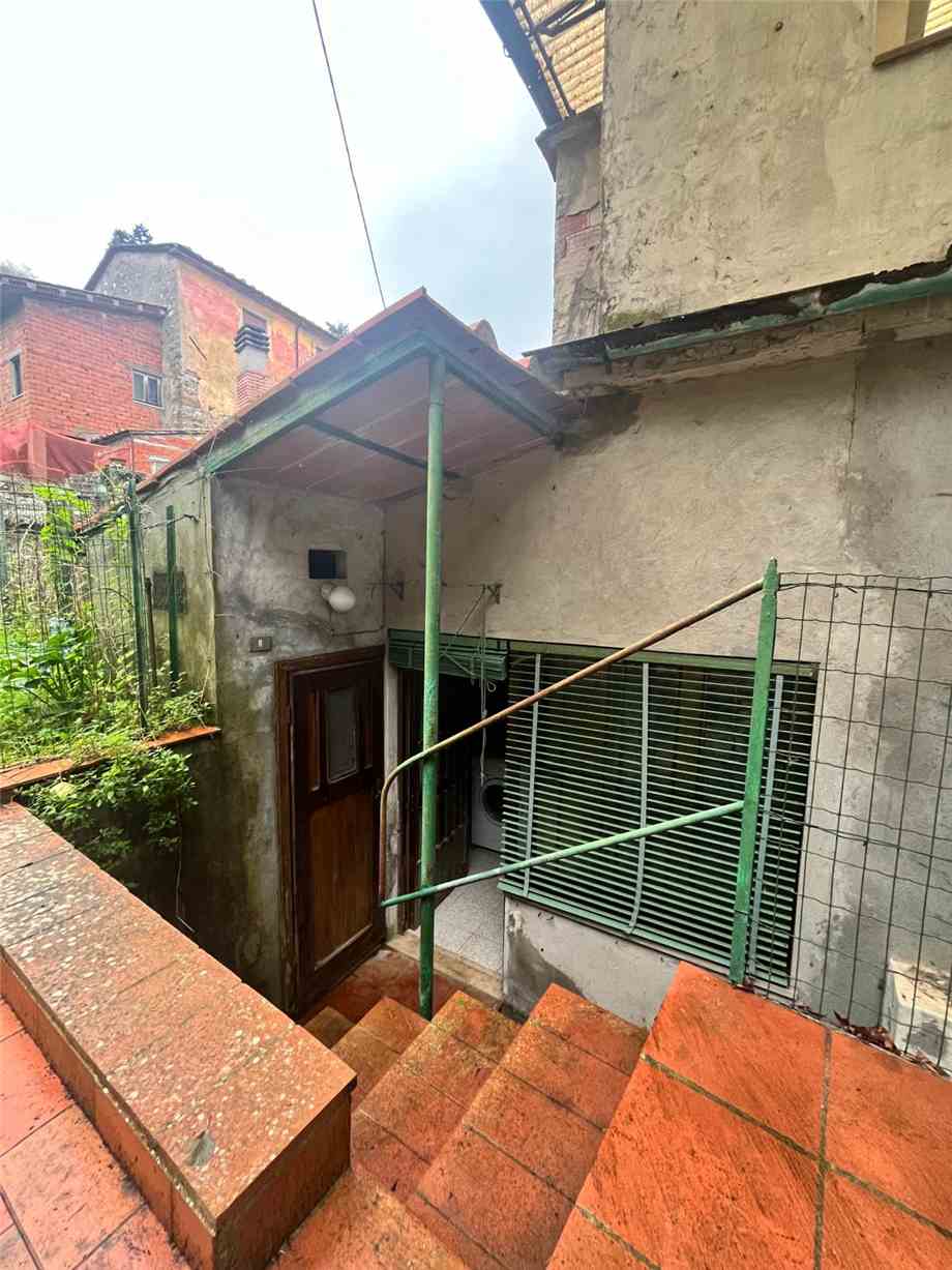 Apartment Lucca 253