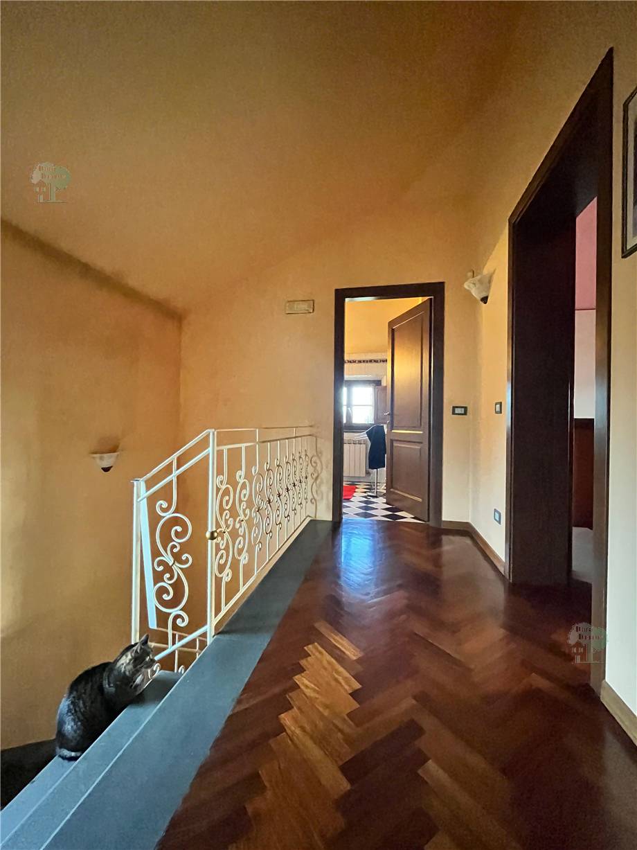 Vendita Villa indipendente Castelfranco di Sotto  #265 n.5