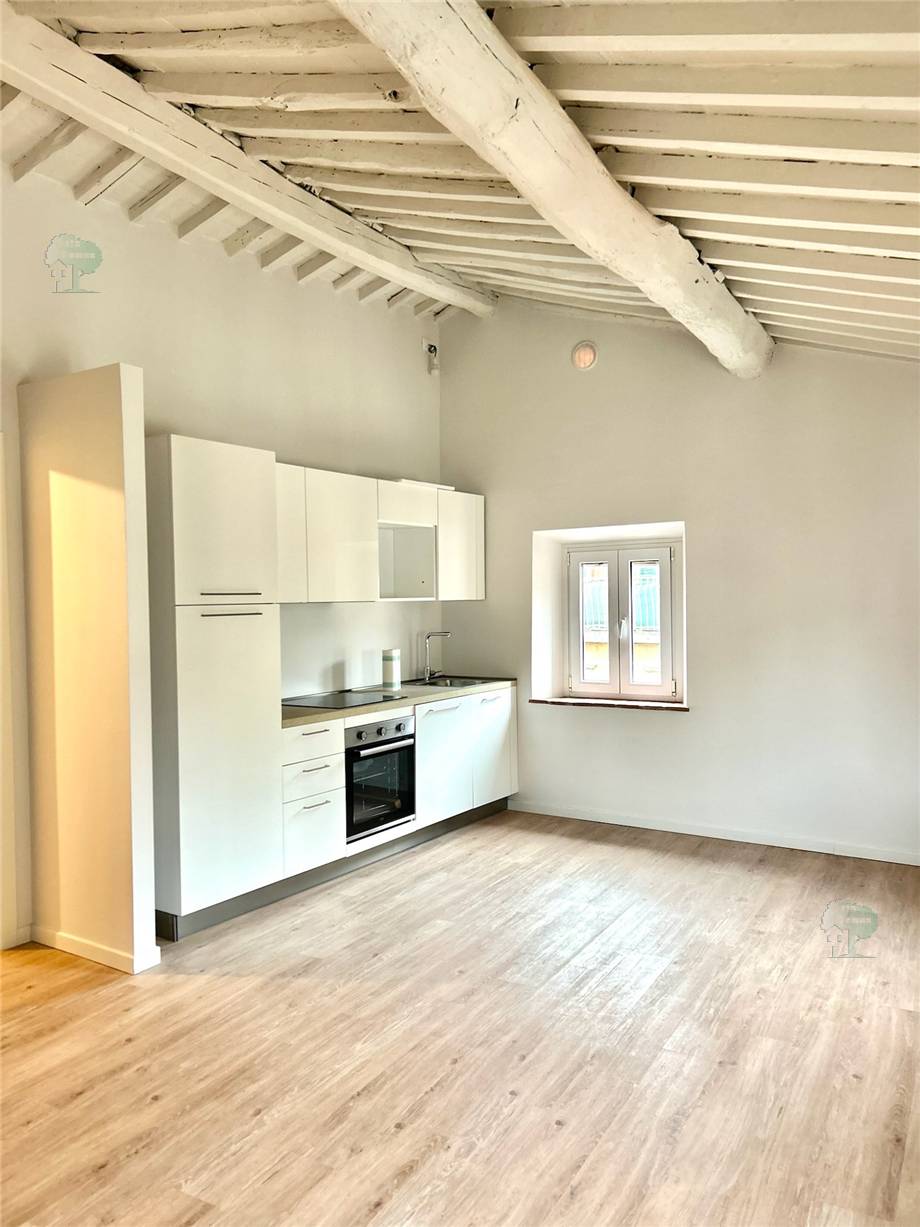 Apartment Lucca 287