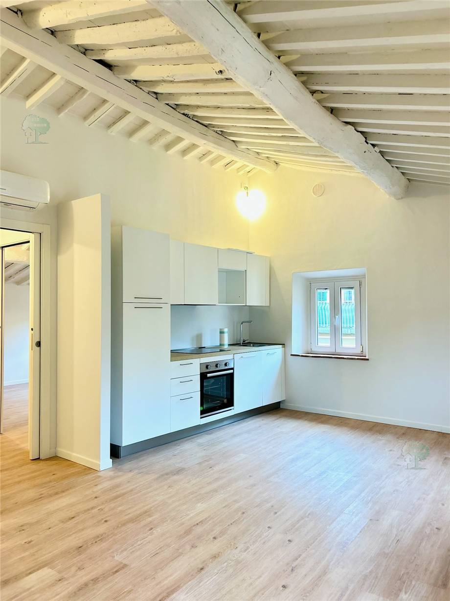 For sale Apartment Lucca  #287 n.3
