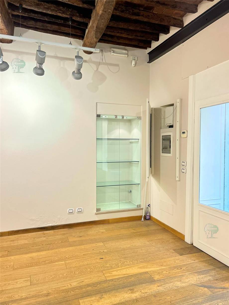 Business premises Lucca 289