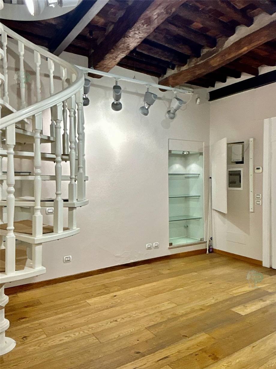 To rent Business premises Lucca  #289 n.2