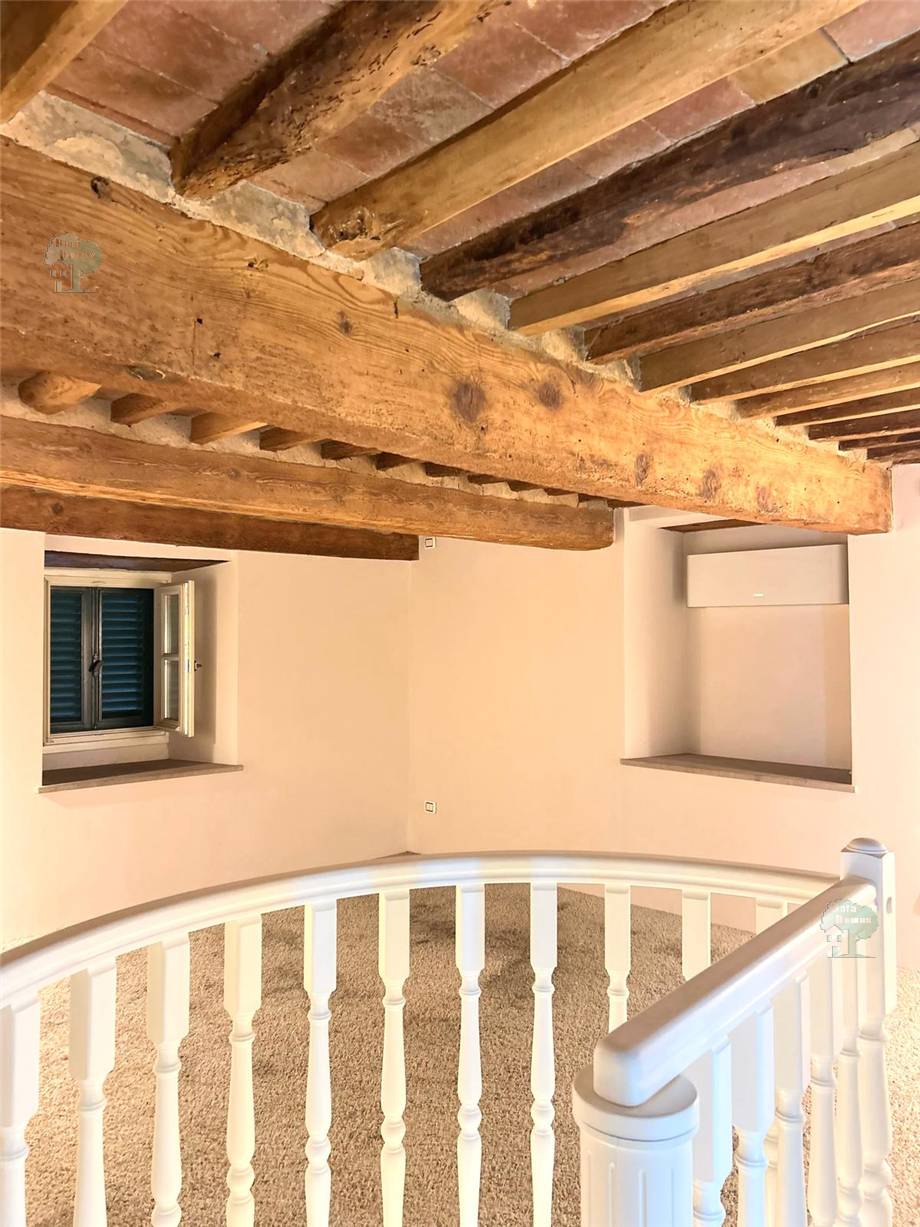 To rent Business premises Lucca  #289 n.4