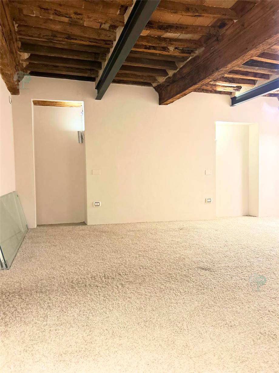 To rent Business premises Lucca  #289 n.5