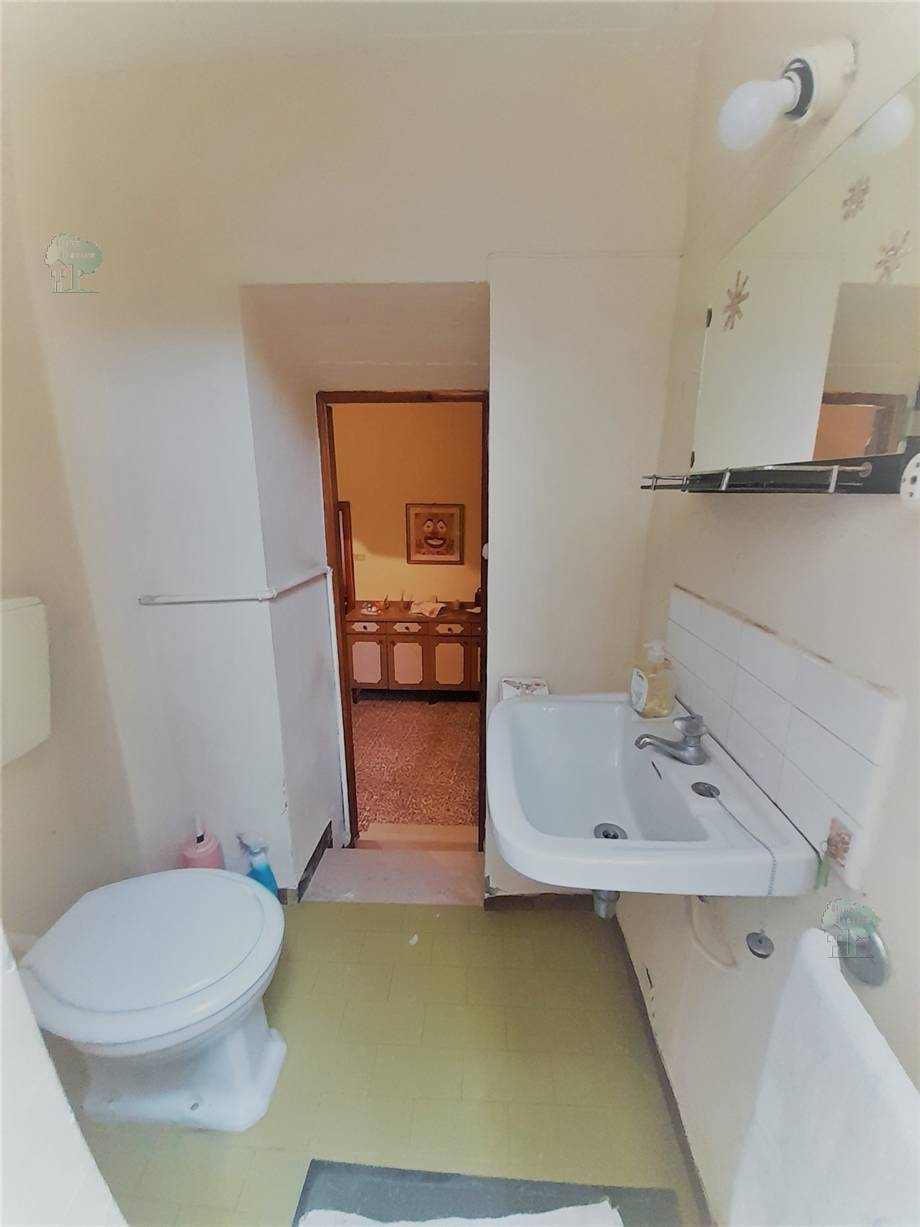 Vendita Appartamento Pescia  #293 n.5