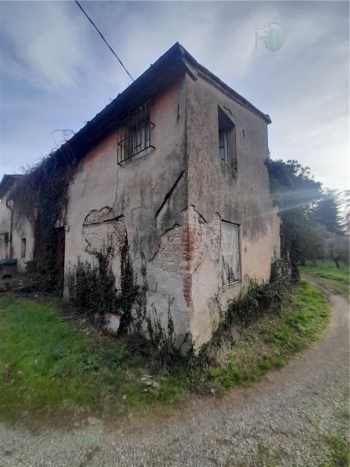 Vendita Rustico/Casa di campagna Capannori #294 n.2