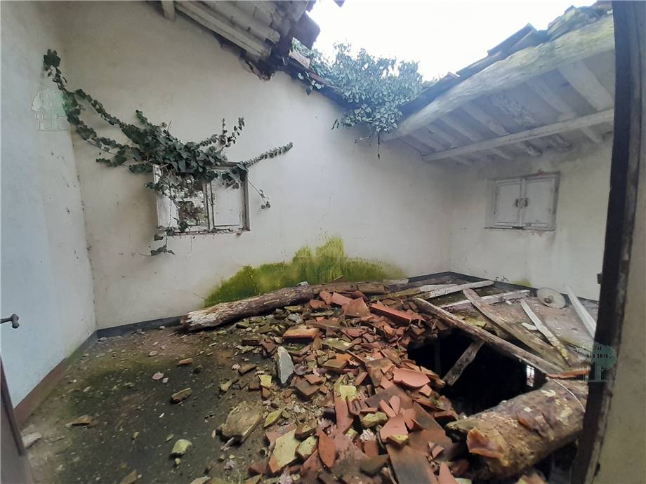 Vendita Rustico/Casa di campagna Capannori #294 n.3